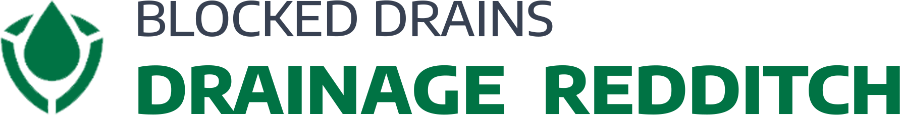 website logo